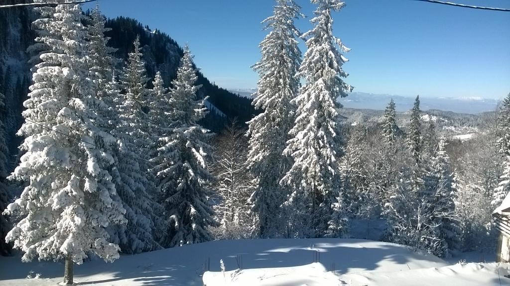 Apartments Milinkovic Jahorina Extérieur photo